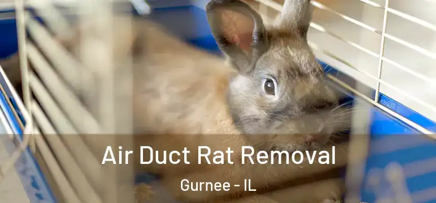 Air Duct Rat Removal Gurnee - IL
