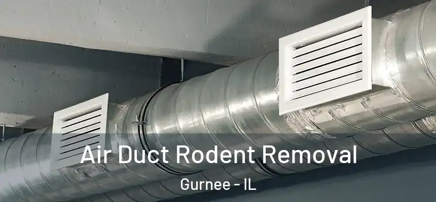 Air Duct Rodent Removal Gurnee - IL