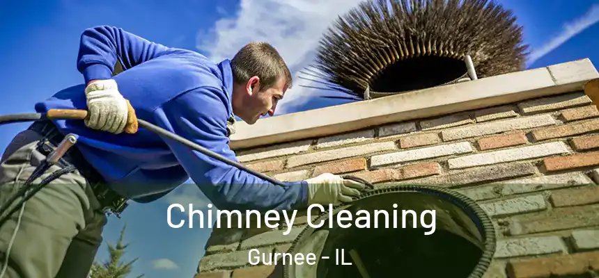 Chimney Cleaning Gurnee - IL