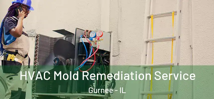 HVAC Mold Remediation Service Gurnee - IL