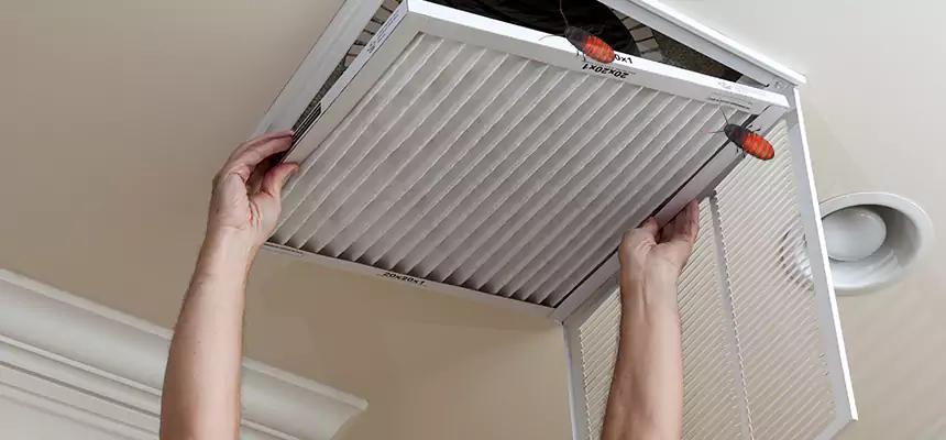 Preventive Cockroach-Proofing for Ducts in Gurnee