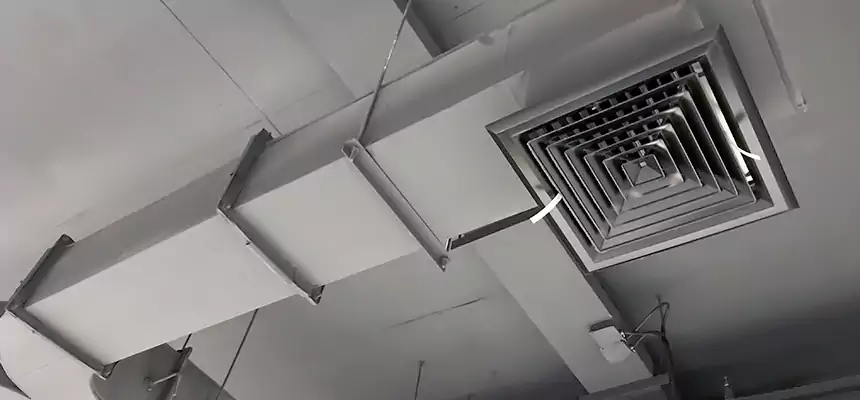 Restorative Allergy Relief Vent Cleaning – Coil, Blower & Housing Detail in Gurnee