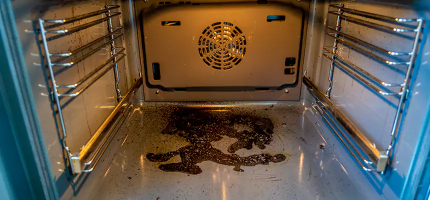 Our Dryer Vent Mold Cleaning Services in Gurnee, IL