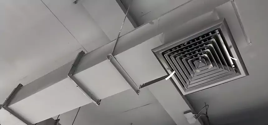 Our Rodent Droppings In Vents Services in Gurnee, IL