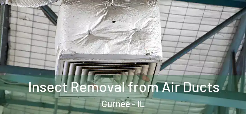 Insect Removal from Air Ducts Gurnee - IL