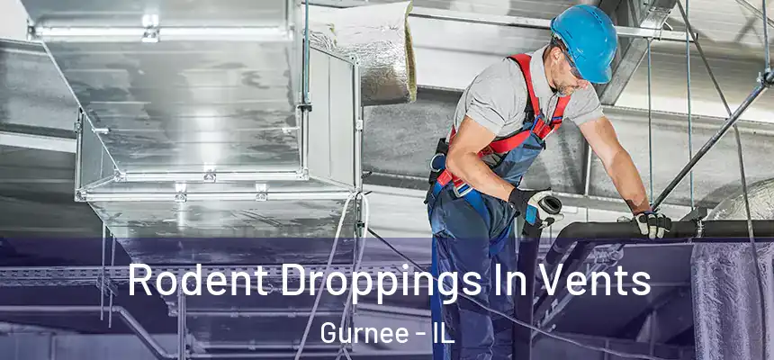 Rodent Droppings In Vents Gurnee - IL