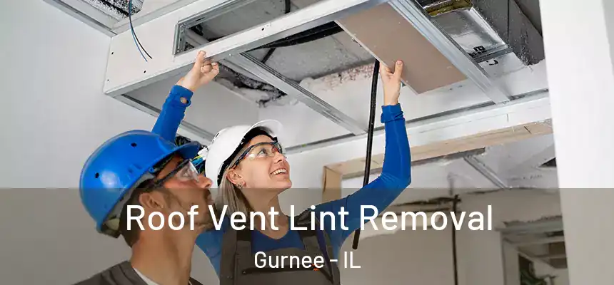 Roof Vent Lint Removal Gurnee - IL