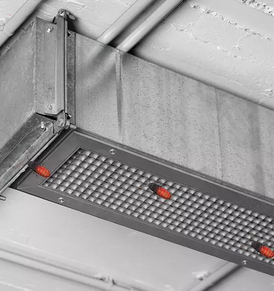 About Air Duct Cockroach Removal in Gurnee, IL