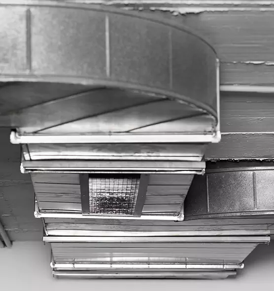 Professional Air Duct Pet Hair Removal in Gurnee, IL