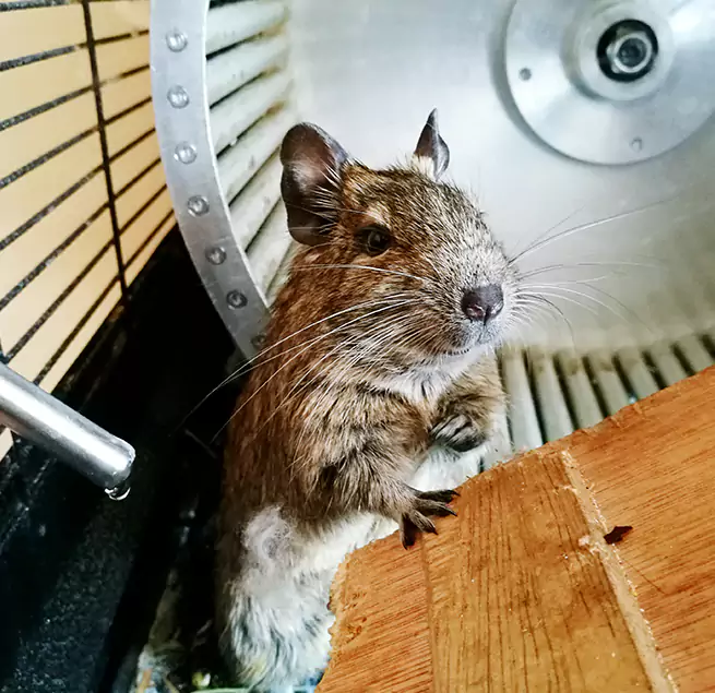 Why Homeowners & Businesses Trust Us Gurnee, IL