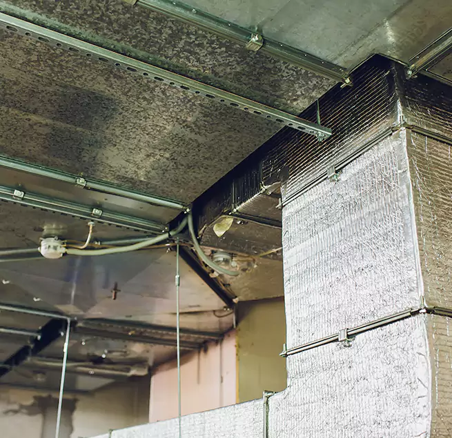 Why Homeowners & Businesses Trust Us in Gurnee, IL?